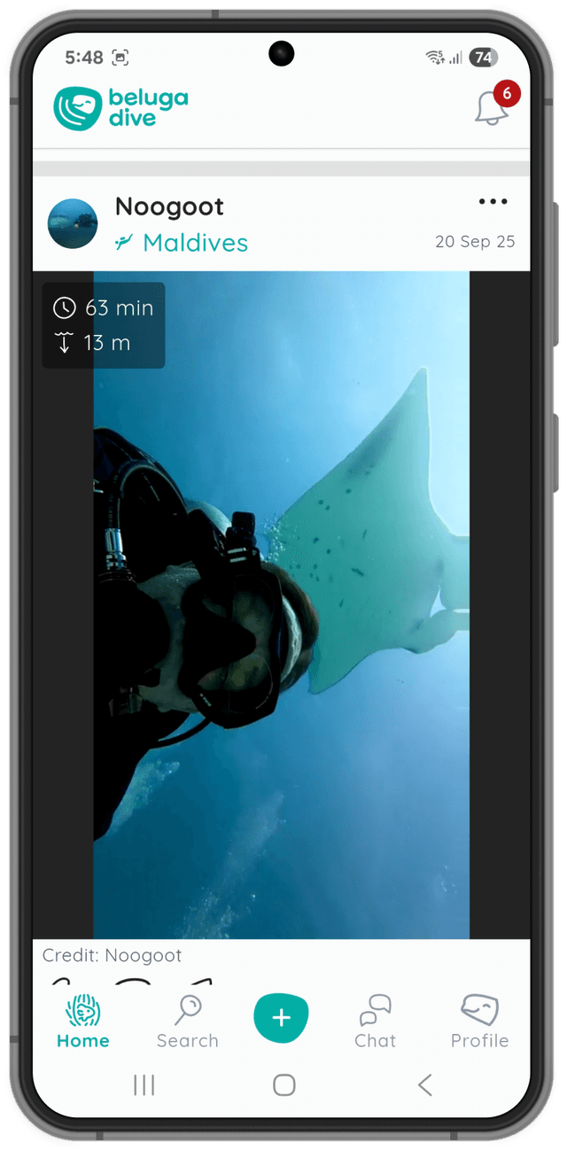 Beluga App Screen 1