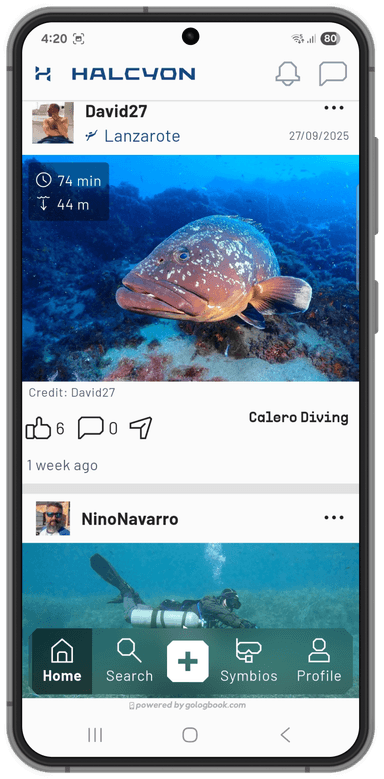Halcyon App Screen 2